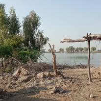 Flood Emergency Relief Program - Image 11